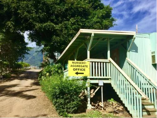Kihei Gardens & Landscaping Company