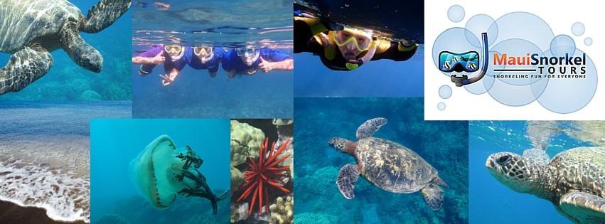 Maui Snorkel Tours