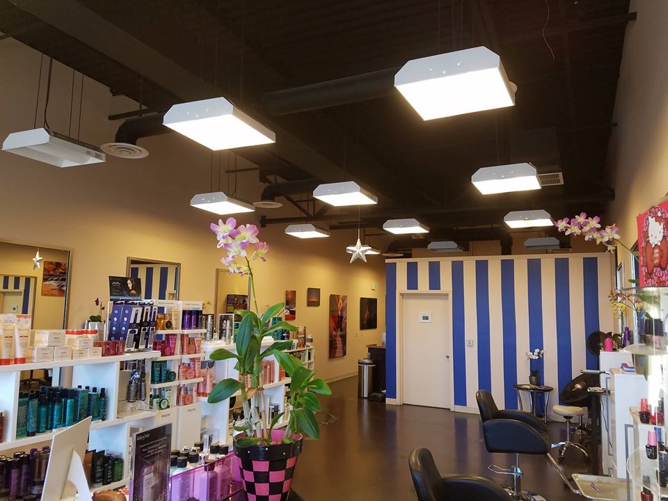 Plush Beauty Lounge