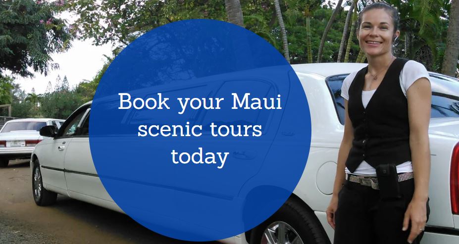 Coastline Tours