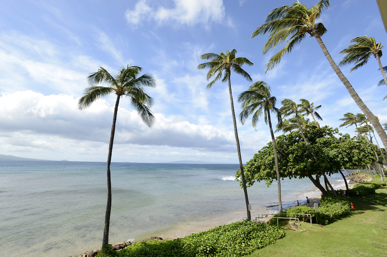 Kanaʻi A Nalu