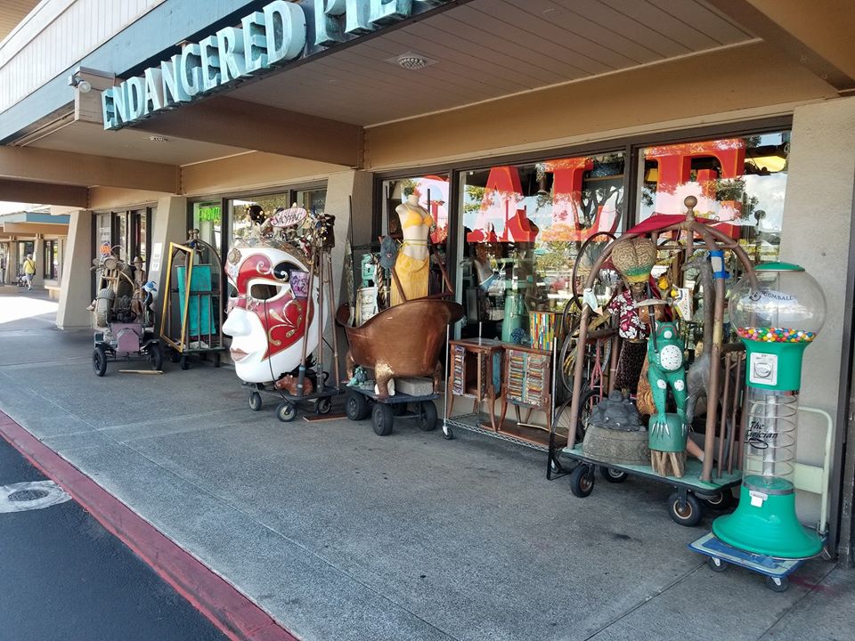 Endangered Pieces – Pukalani