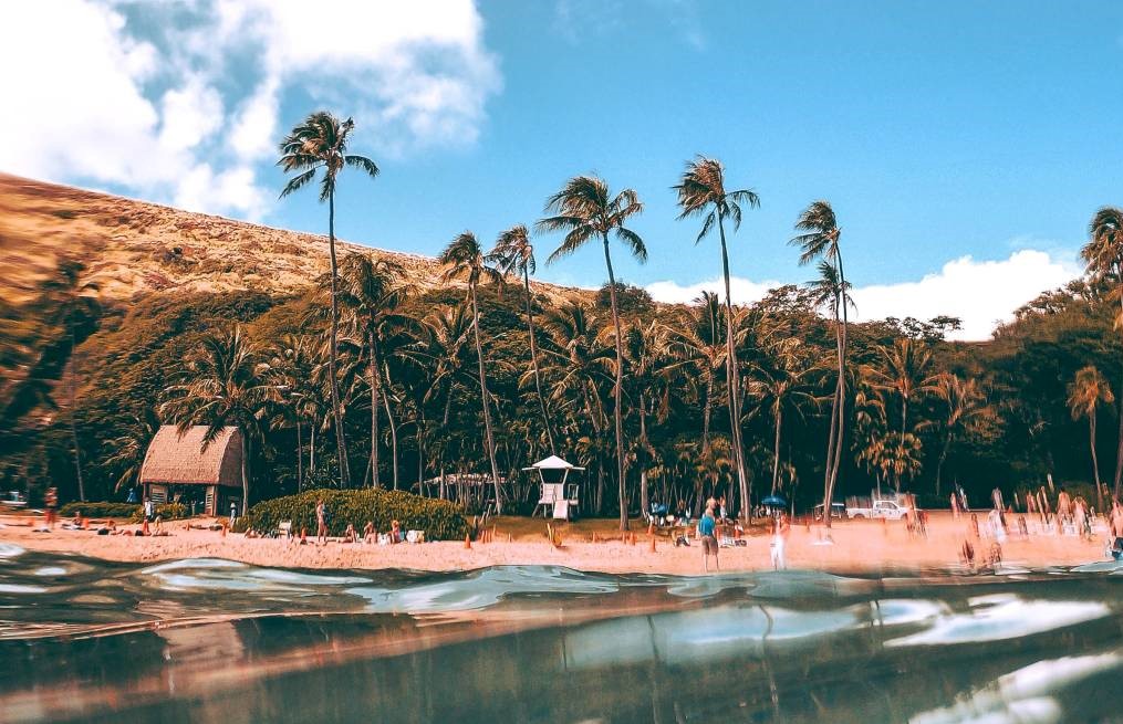 Hawaii Life Real Estate Brokers – Poipu-Koloa, Kauai