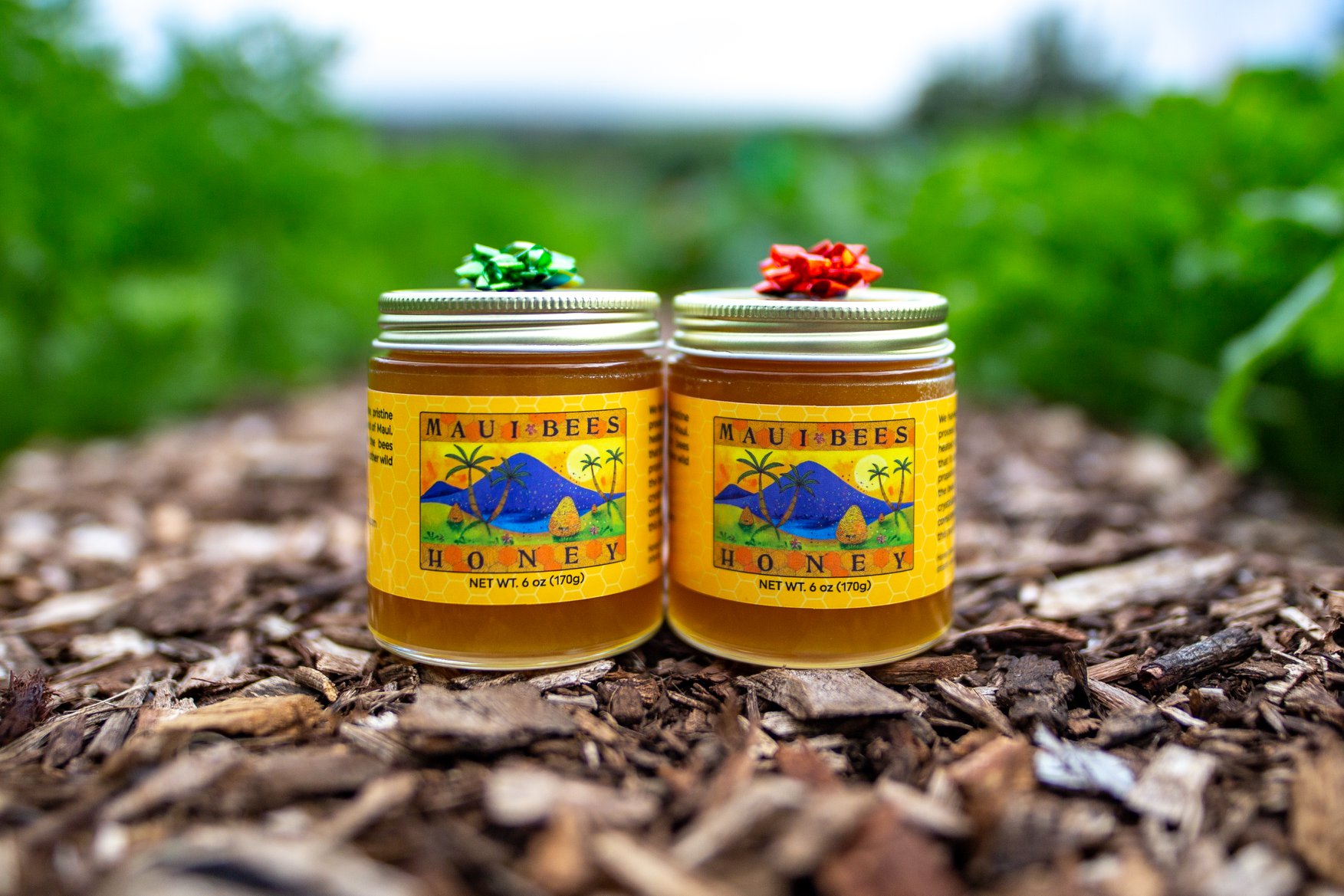 Maui Bees Inc