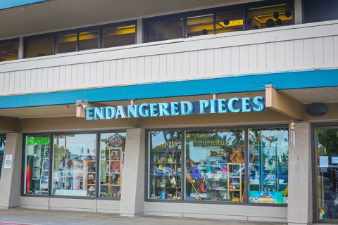 Endangered Pieces – Kihei