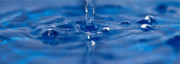 Prilly Pure Water