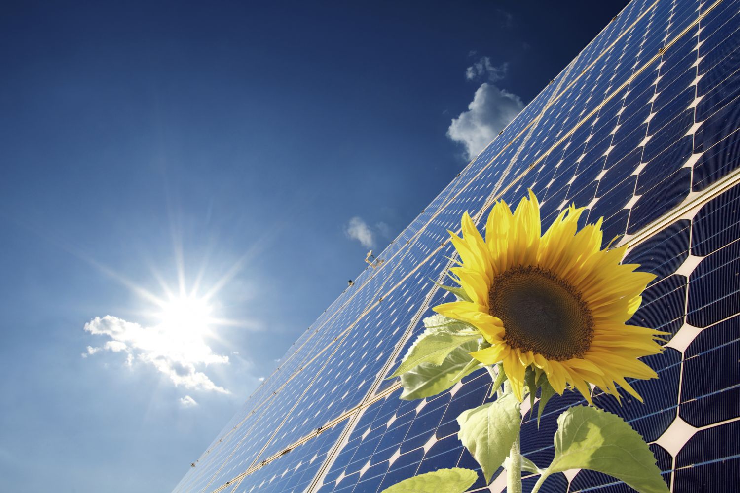 Sun King Inc