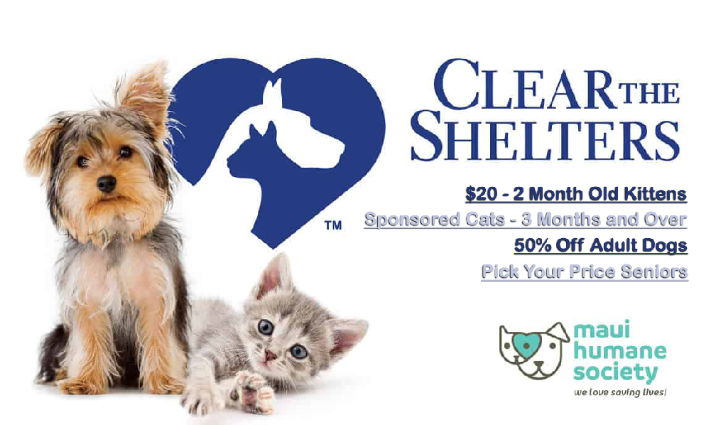 Maui Humane Society