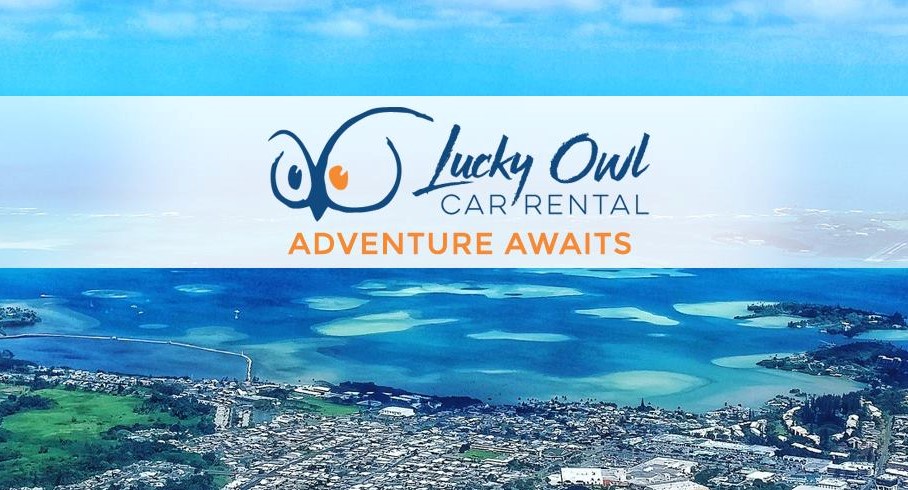 Lucky Owl Car Rental