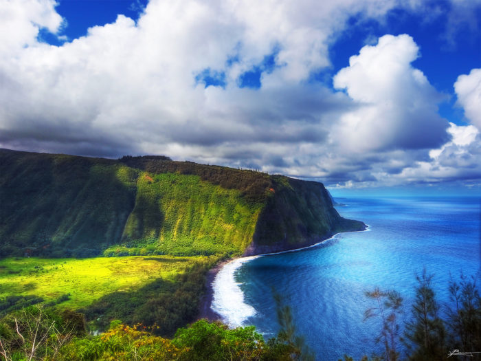 Kailani Tours