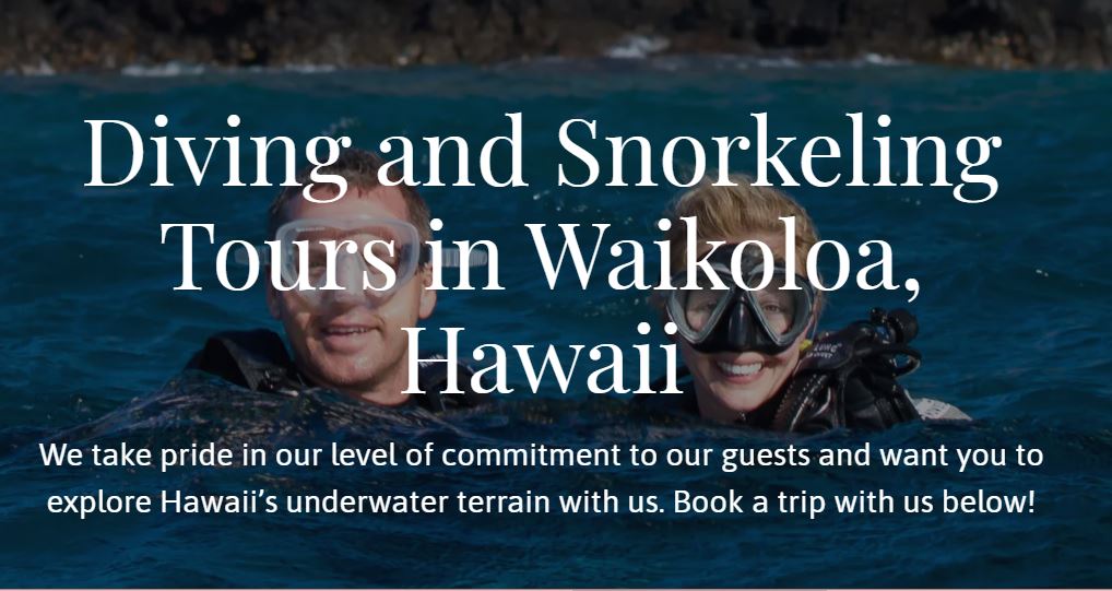 Blue Wilderness Dive Adventures