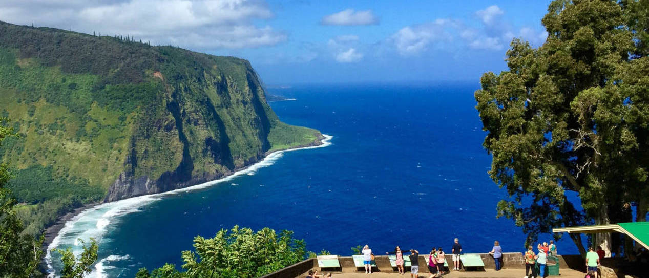 Wasabi Tours Hawaii