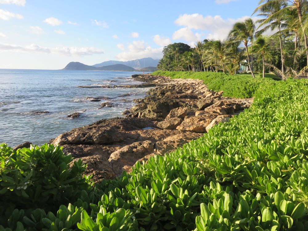 Fun Hawaii Travel