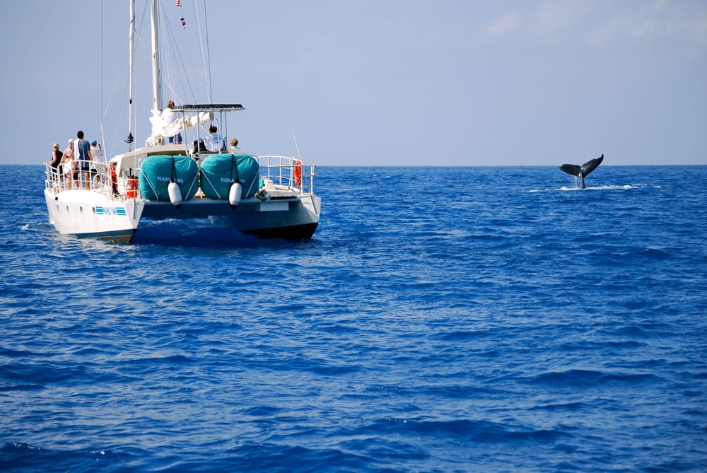 Ocean Sports
