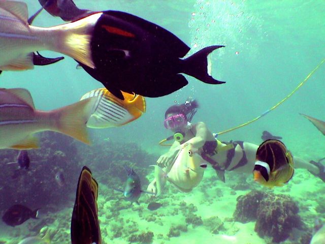 Snuba Tours of Kaua’i