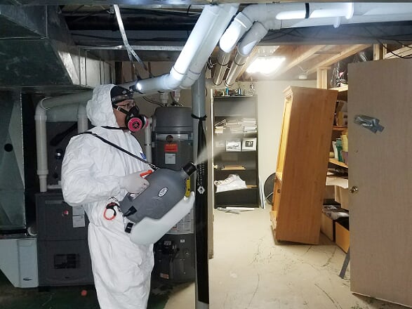 Oahu Mold Testing & Removal