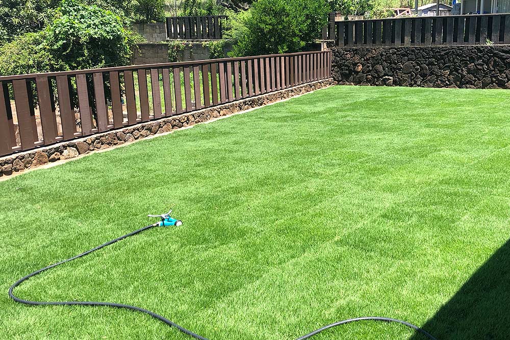 Hawaiian Turfgrass