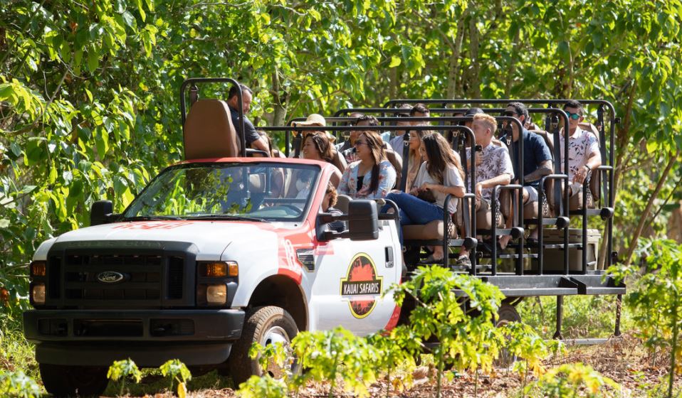 Kauai Safaris