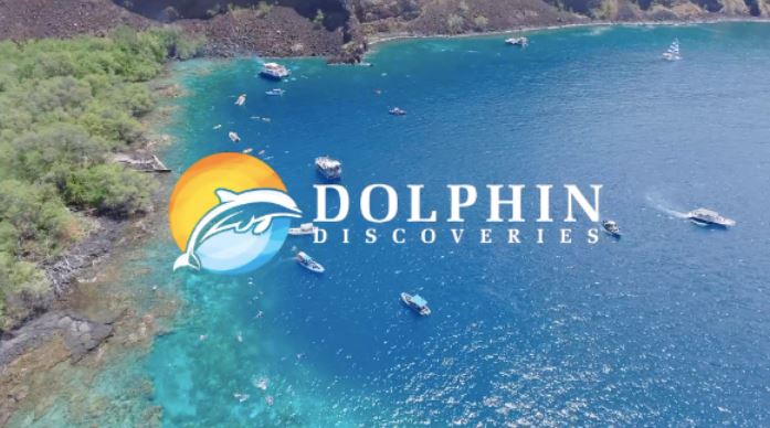 Dolphin Discoveries