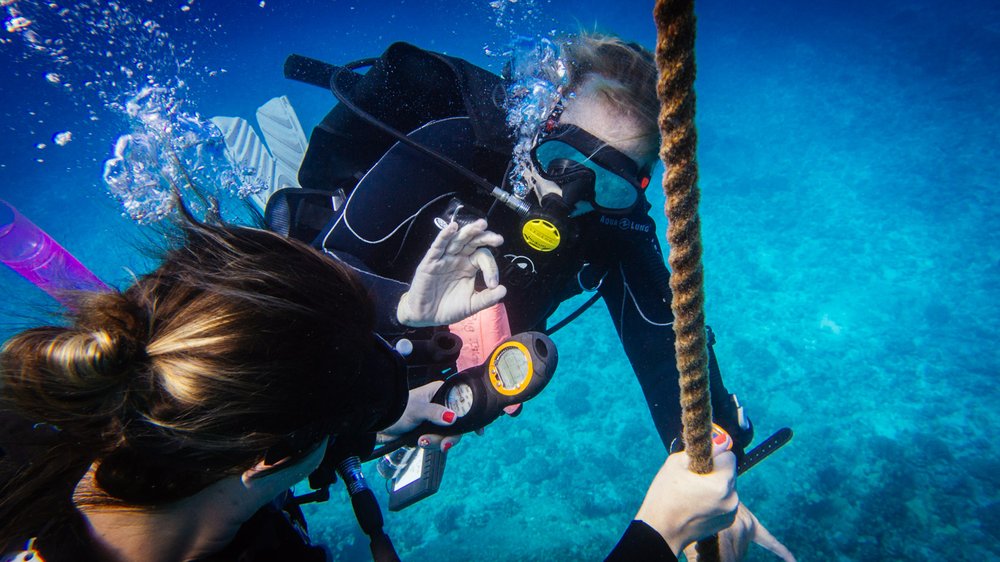 Big Island Divers
