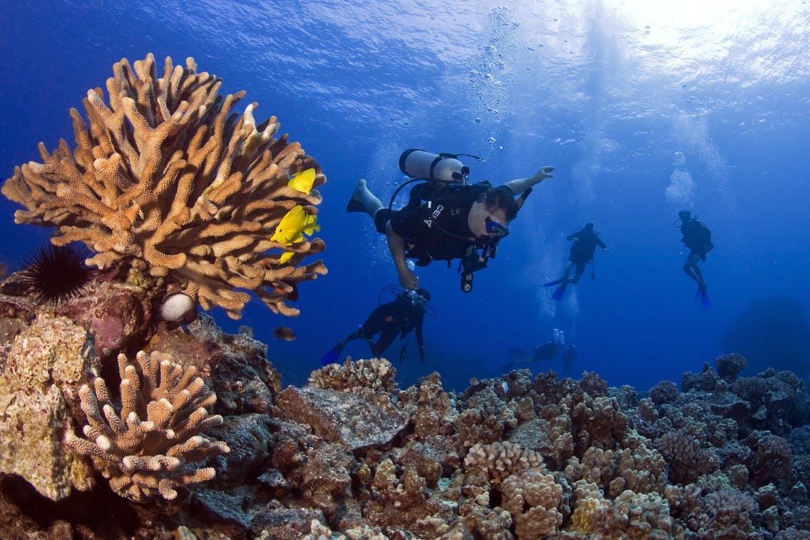 Kona Ocean Private Adventures