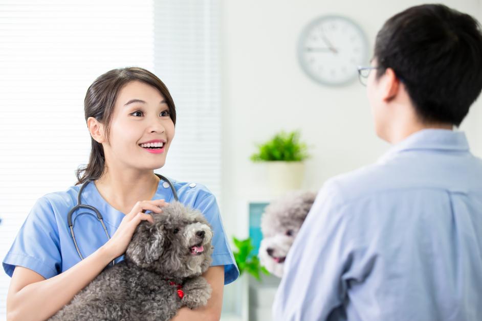 Ohana Veterinary Hospital Inc
