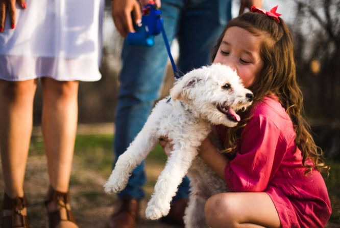 VCA Family and Oahu Veterinary Specialty Center