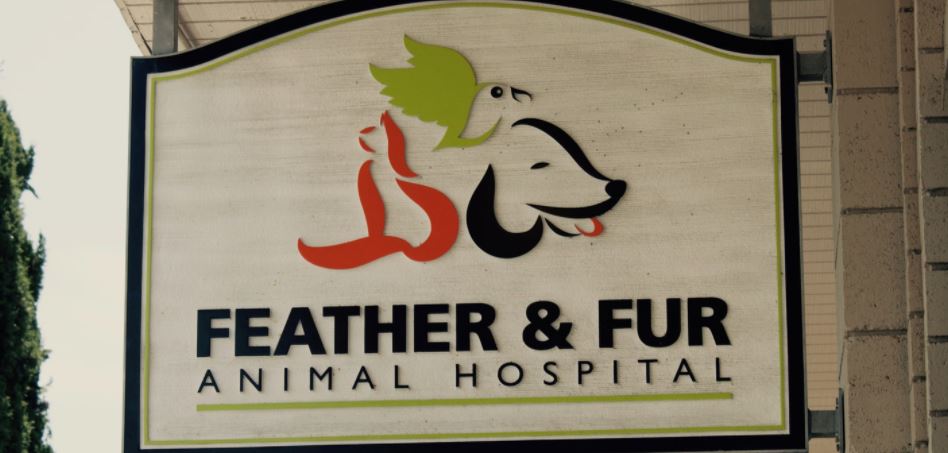 Feather & Fur Animal Hospital