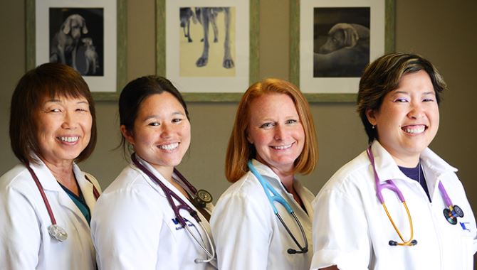 Animal Clinic – Waipahu