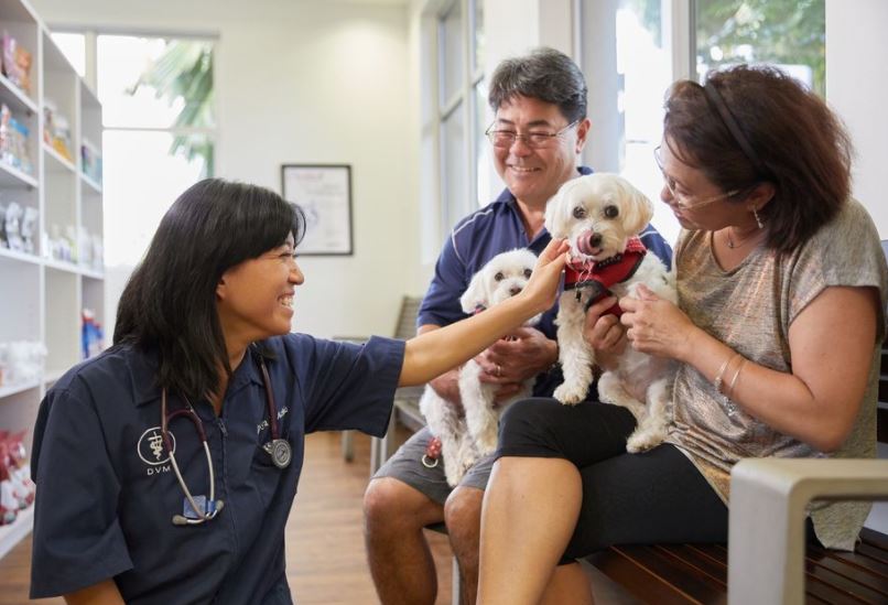 Pet Hospital of Hawaii