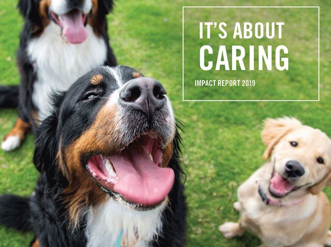 VCA Gentle Vets Animal Hospital