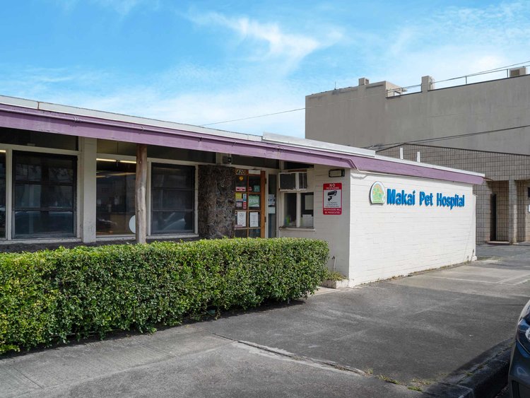 Makai Pet Hospital