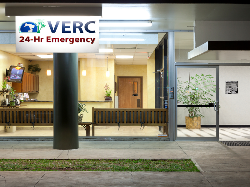Veterinary Emergency Referral Center of Hawaii