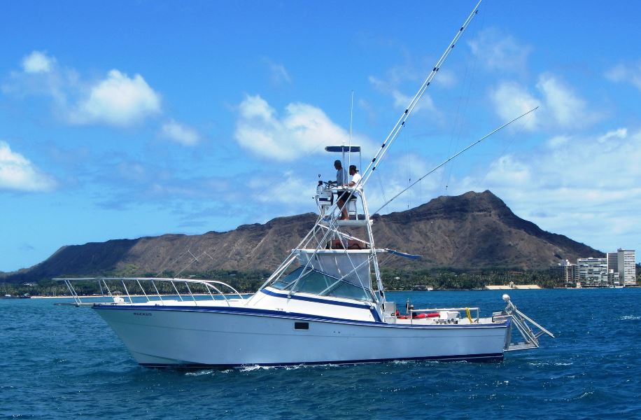 Ruckus Sportfishing and Diving