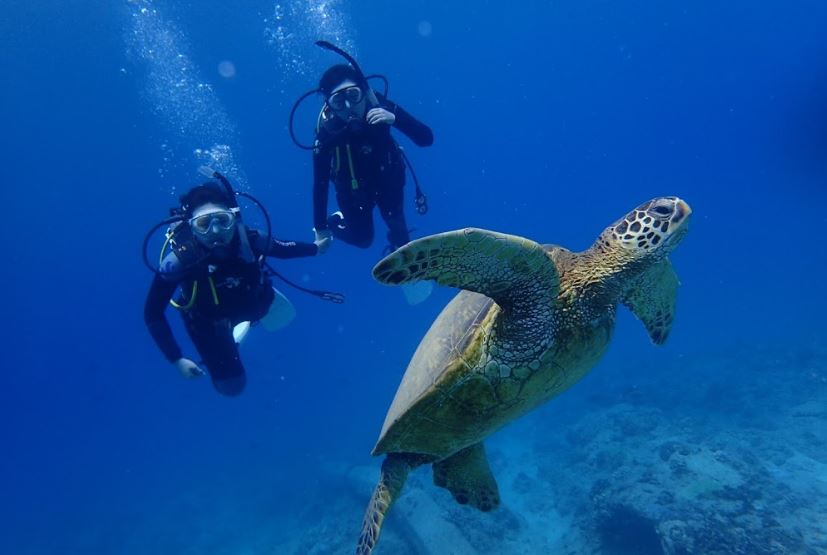 Sunshine Scuba
