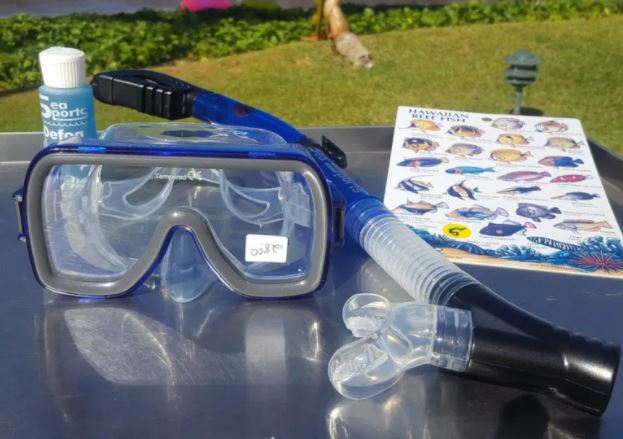 The Maui Snorkel Store