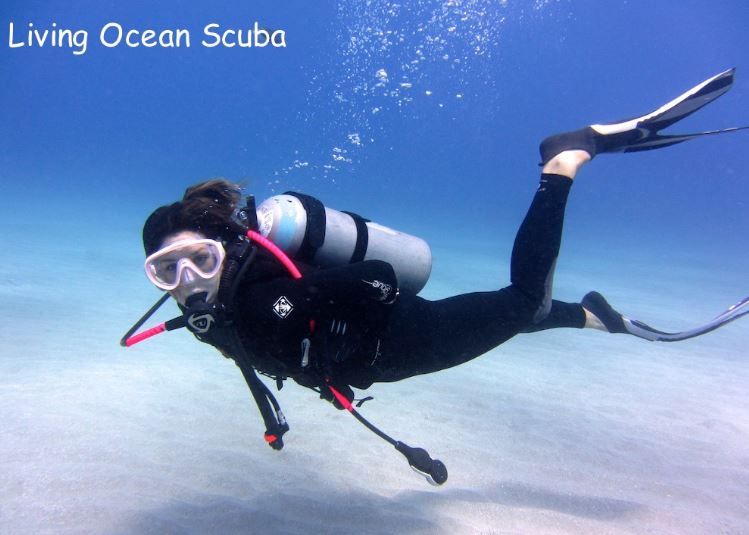 Living Ocean Scuba
