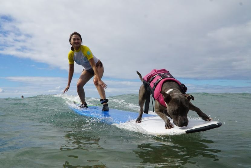 Surf Shack