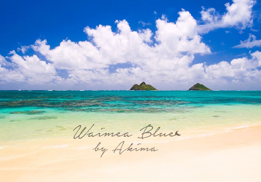 Waimea Blue Gallery