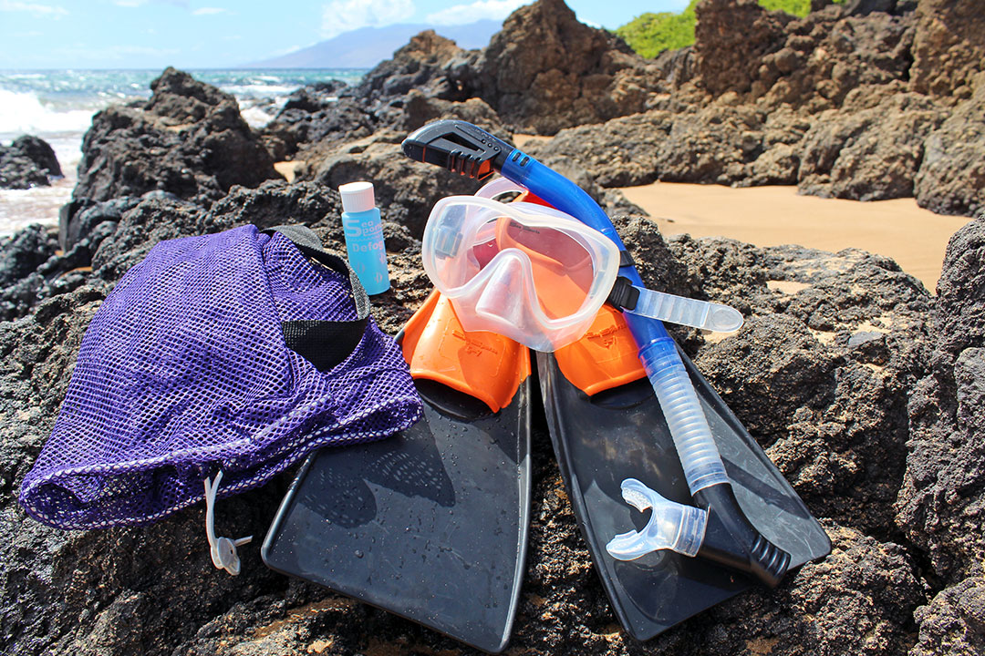 Auntie Snorkel Beach Rentals and Activities