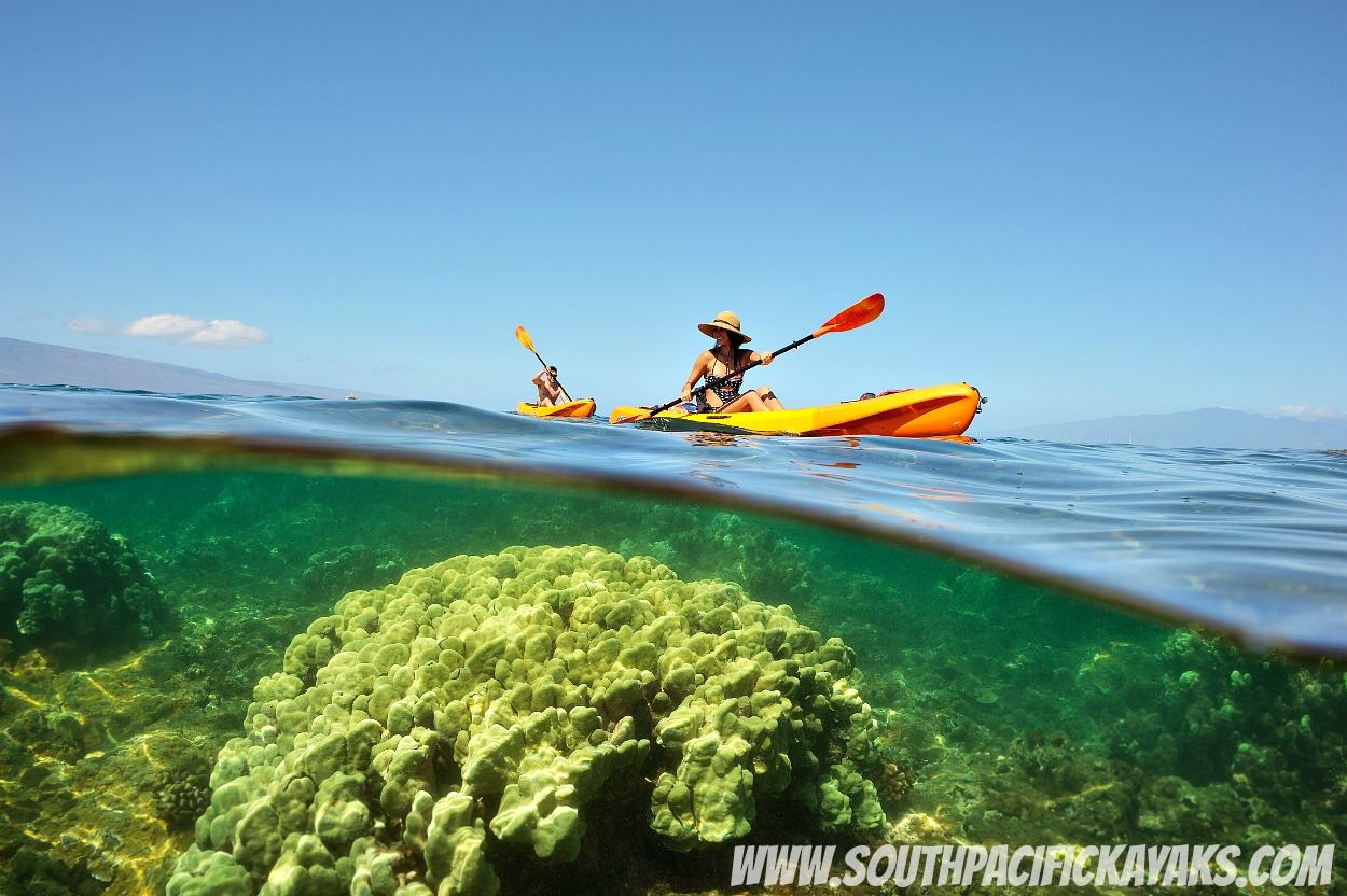 South Pacific Kayaks