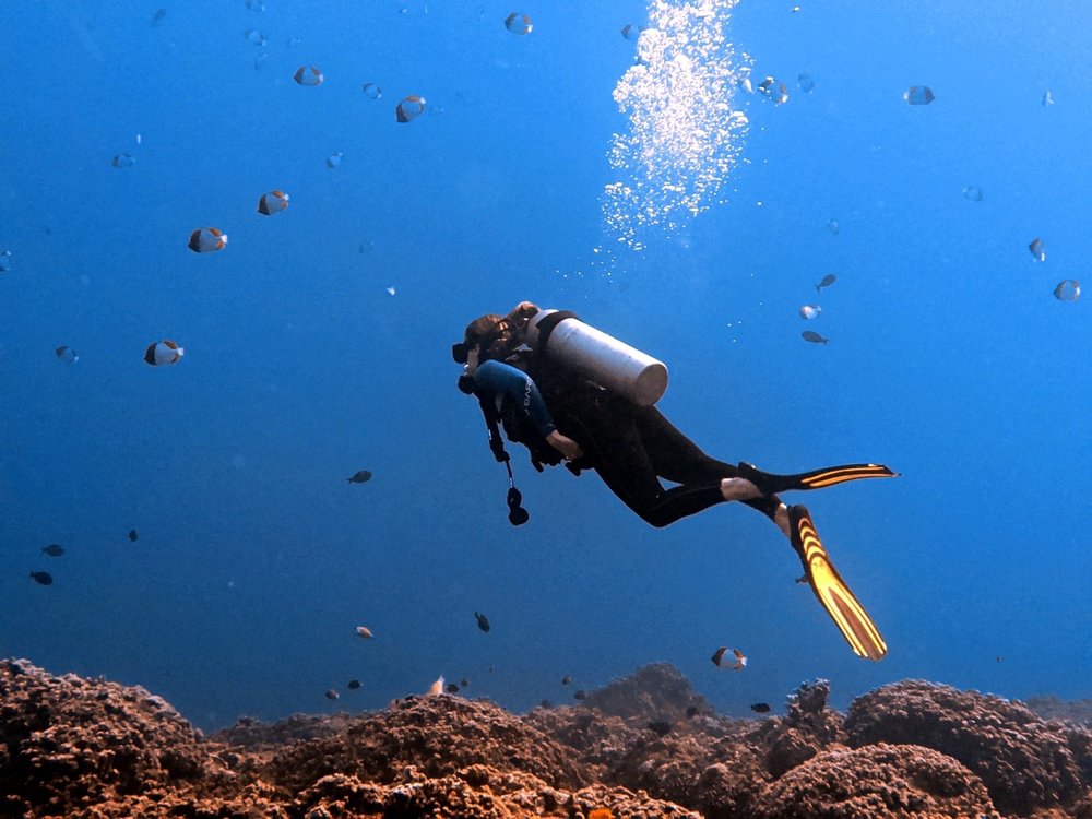 Prodiver Maui