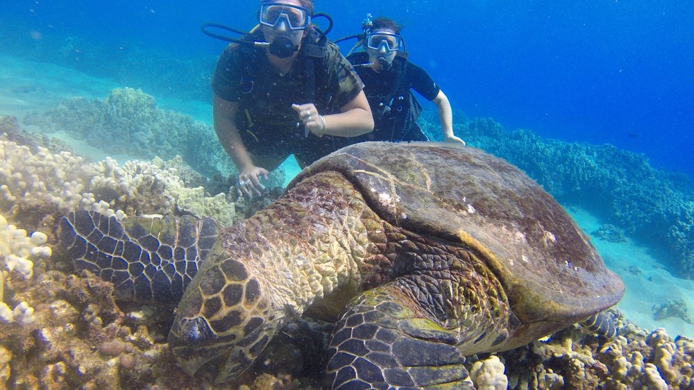 In2Scuba Diving Maui Dive Co.
