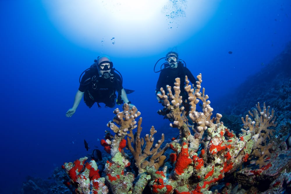 Makena Coast Dive Charters