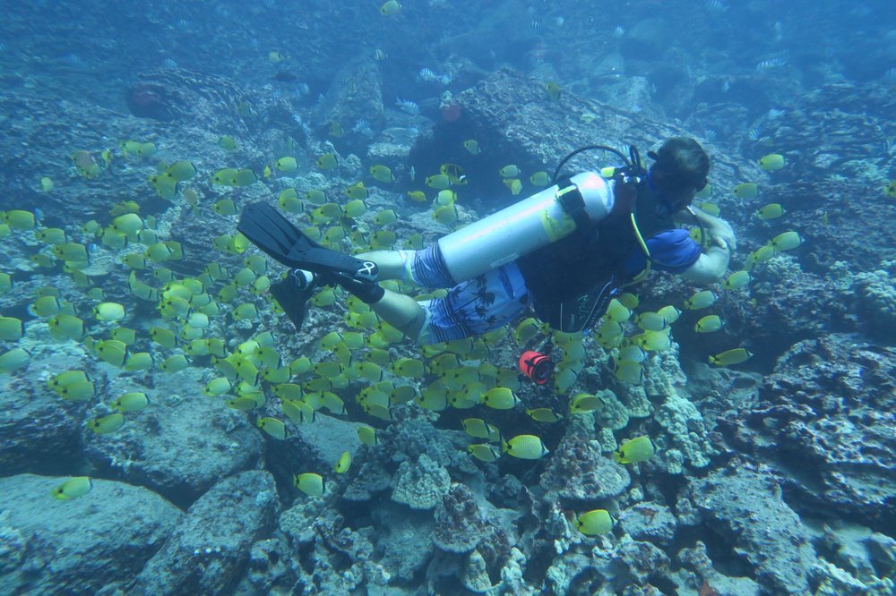 Island Divers Hawaii