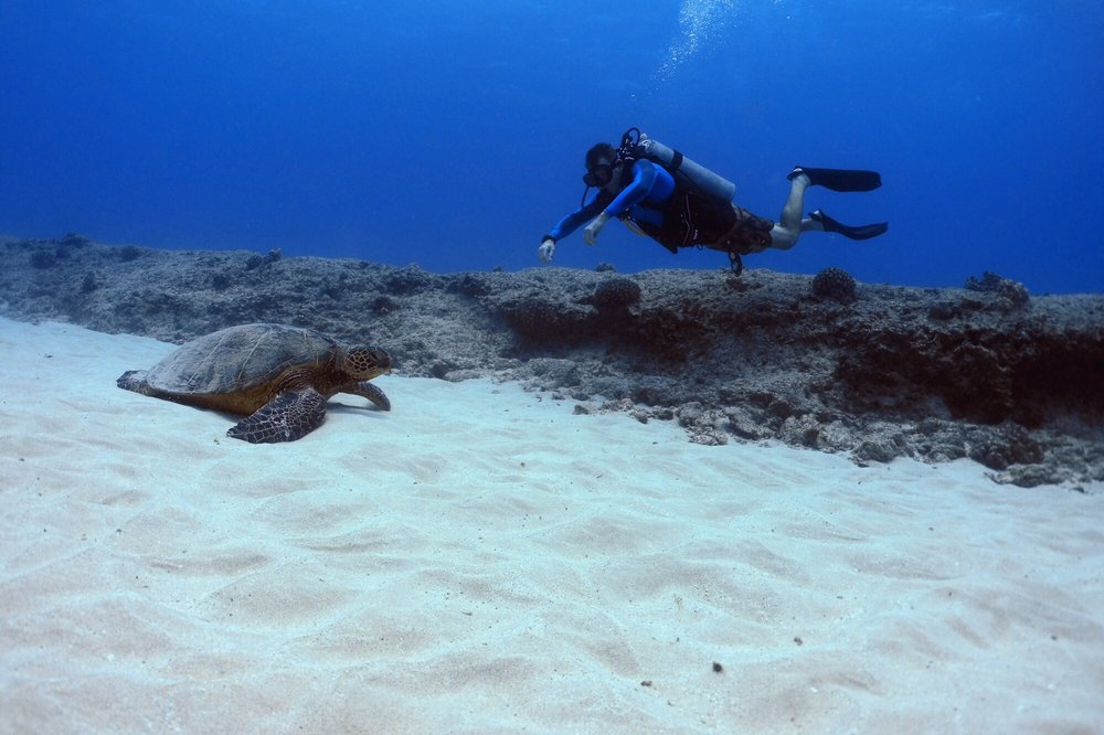 Reef Pirates Diving