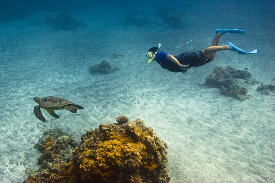 Snorkel Bob’s Oahu