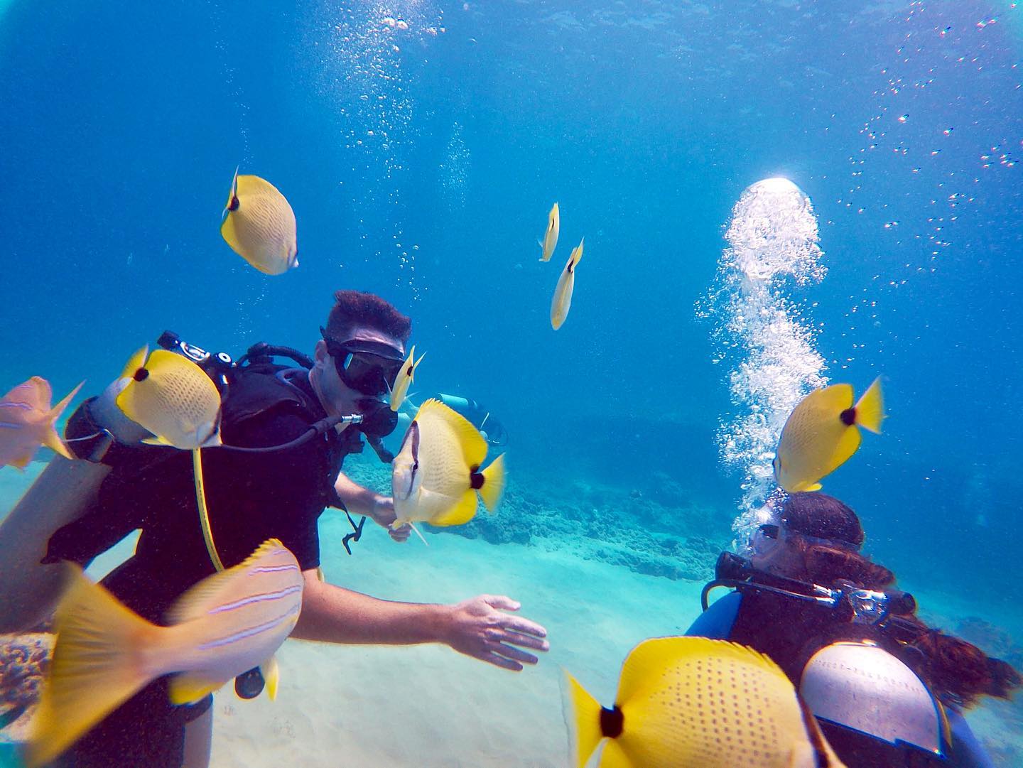 Hawaii Eco Divers