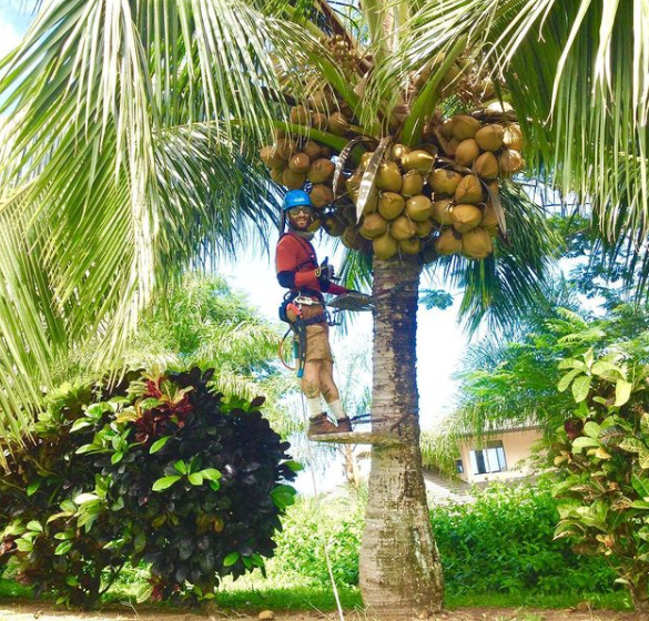 DaKineDrupes Coconut Coir